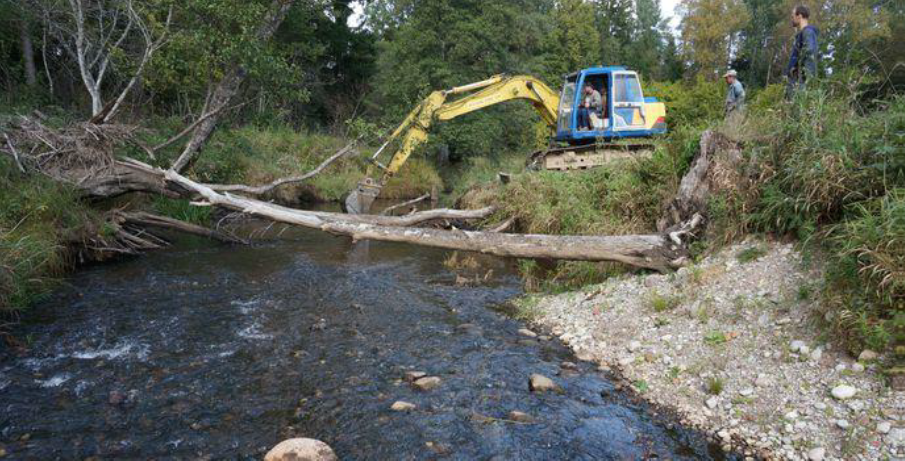 Nārsta vietas atjaunošana