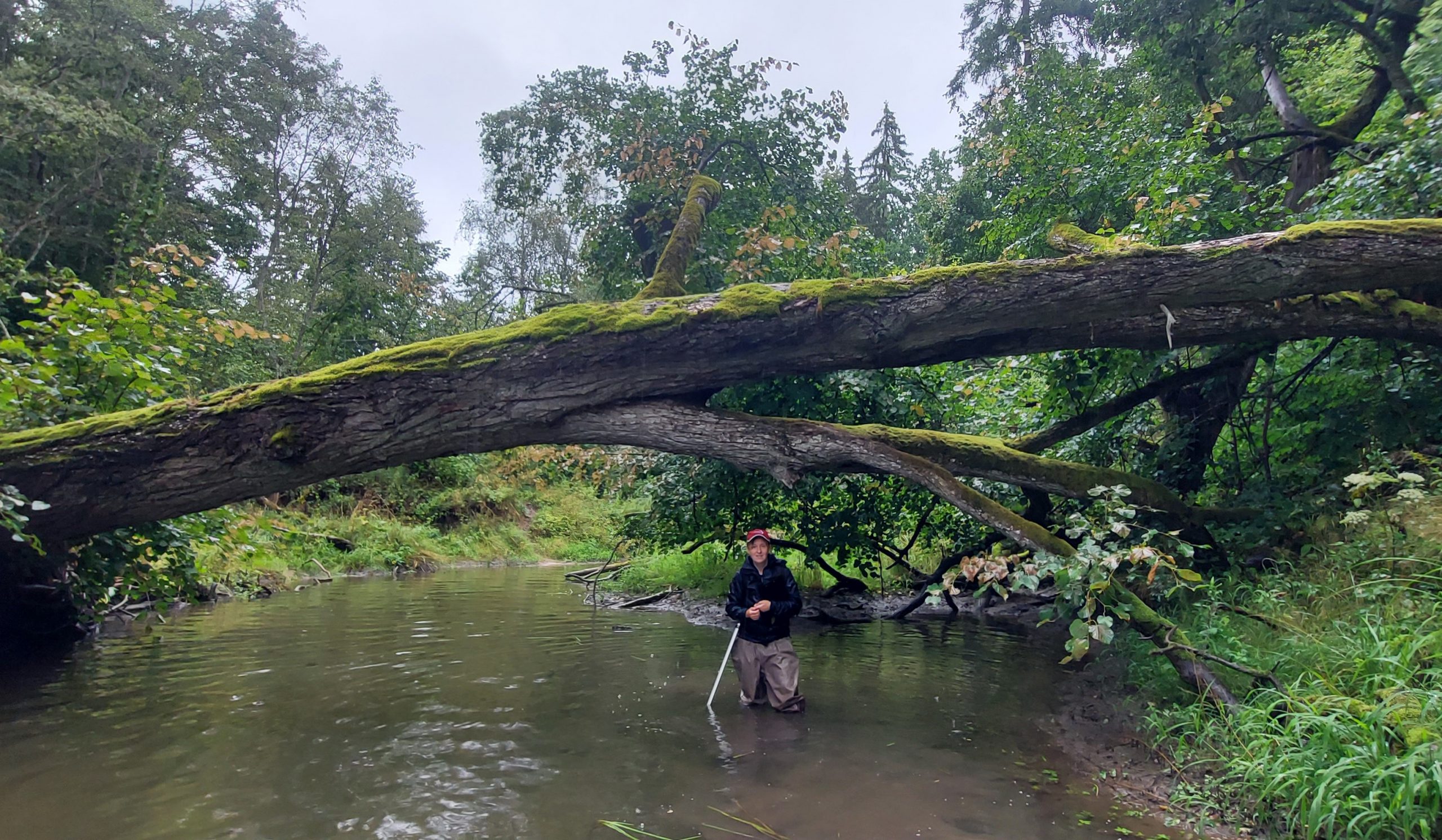 Zaņas upe, LIFE GoodWater IP